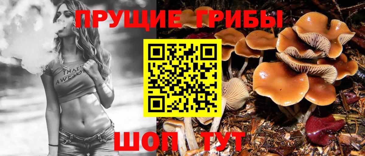 Клин  Галлюциногенные грибы Psilocybine cubensis  Вход с VPN  Галлюциногенные грибы мухоморы 