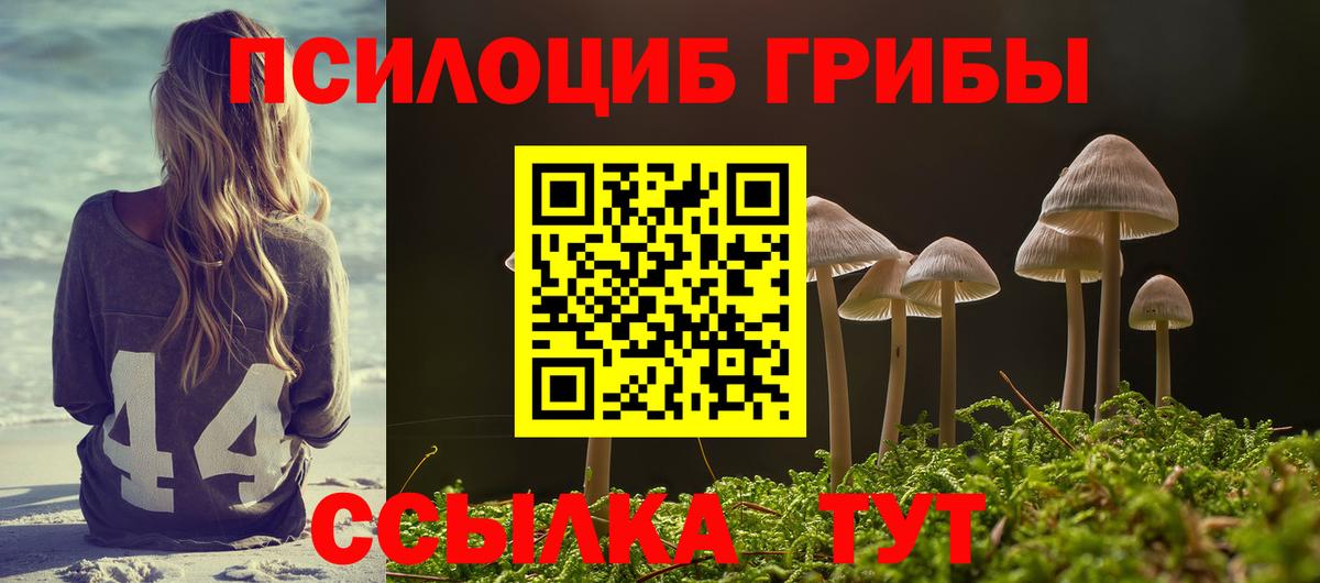 Псилоцибиновые грибы Magic Shrooms Клин